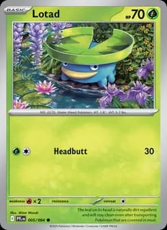 Lotad
