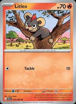 Litleo