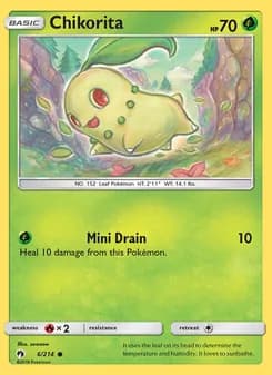Chikorita
