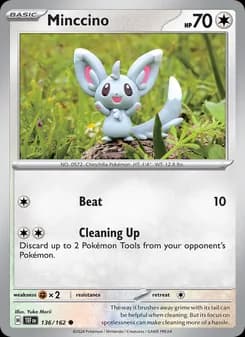 Minccino