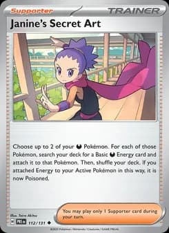 Janine's Secret Art