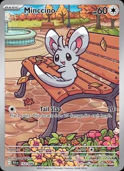 Minccino