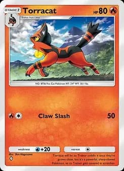 Torracat