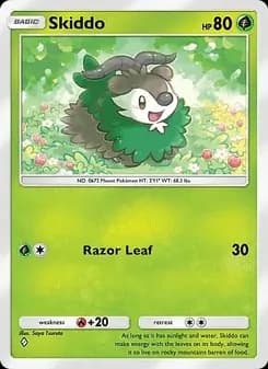 Skiddo