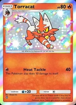 Torracat