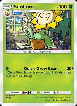 Sunflora